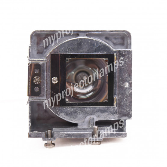 Viewsonic PJD6243 Projector Lamp with Module