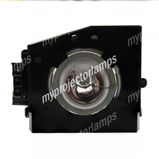 Optoma SP.721R9GC01 Projector Lamp with Module