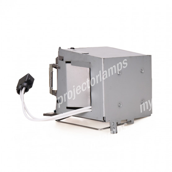 Acer PM-X01S Projector Lamp with Module