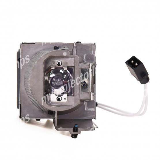 Acer PM-X01S Projector Lamp with Module