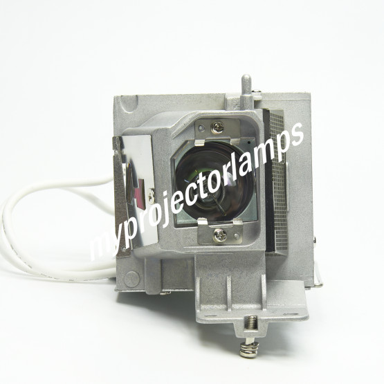 Dell 725-BBEL Projector Lamp with Module