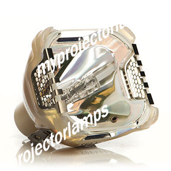 Bare Projector Lamp